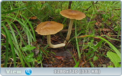 0_112b37_8ab93322_orig.png