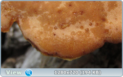 0_1147e2_c38a6f20_orig.png