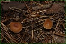 0_e9d43_669ff29c_orig.jpg