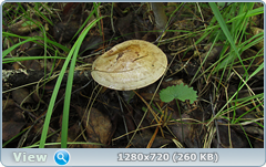 0_10b107_29639c2a_orig.png