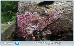 0_10ddfe_188ca192_orig.png