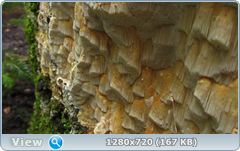 0_110904_e143009c_orig.png