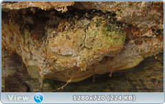 0_115899_13824f8_orig.png