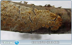 0_11632f_dc716a40_orig.png