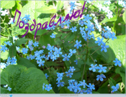 0_11d6ef_796519e7_orig.png