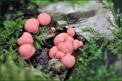 0_14263f_bc6e84d_orig.jpg