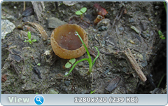 0_107eab_2f857458_orig.png