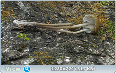 0_107ec8_548889a7_orig.png