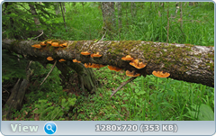 0_10a331_ae50a686_orig.png