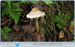 0_10c70c_b88b79c3_orig.png