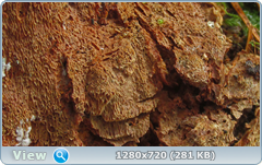 0_115068_ff126a69_orig.png