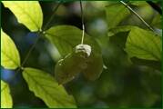 0_ed622_3af9c9c3_orig.jpg