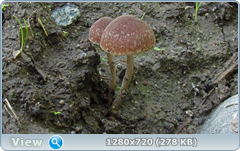 0_107e9f_7b724efa_orig.png