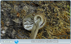 0_107ecc_2495a532_orig.png