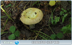 0_10aed2_7026a42a_orig.png