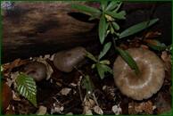 0_ef948_70032b6a_orig.jpg