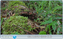 0_1121c4_5d123bd8_orig.png