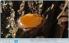 0_115851_4cb6f669_orig.png