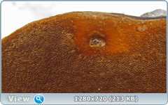 0_11587b_ac15d281_orig.png
