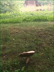 0_126456_99f350d6_orig.jpg