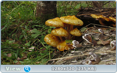 0_1122fa_78ca52d5_orig.png