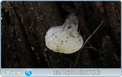 0_112316_389fd48e_orig.png