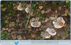 0_113330_673d3da8_orig.png