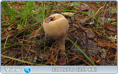0_1105e5_e95f9dc2_orig.png