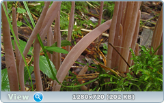 0_1105f1_7f343be2_orig.png