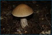 0_d2aee_861e91b5_orig.jpg