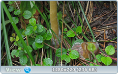 0_10ad2c_ba323d83_orig.png