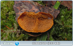 0_114c93_2d500ea1_orig.png