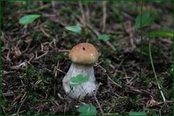 0_12828b_b45e4471_orig.jpg