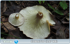 0_10b0eb_8ddbf312_orig.png