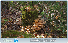 0_113038_ab8c2529_orig.png