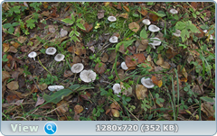 0_1133dc_dc63a875_orig.png