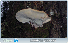0_114cd7_8eb4eb82_orig.png