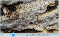 0_114ce5_58aaf849_orig.png