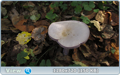 0_112ab4_a62b2720_orig.png
