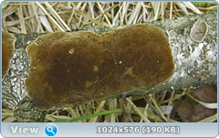 0_127f52_9441311e_orig.png