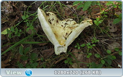 0_10ad14_639a2508_orig.png