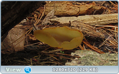 0_10ad36_d7b7372d_orig.png