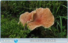 0_10ad38_5aa75332_orig.png