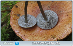0_112ad3_c2f4c1c1_orig.png