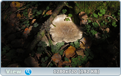 0_11332e_548d093_orig.png