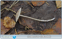 0_113348_9bd6cd96_orig.png