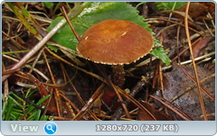 0_10dd9e_1289989b_orig.png