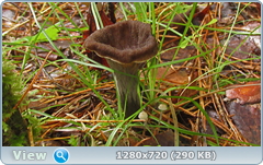 0_10ddc8_d647de0d_orig.png