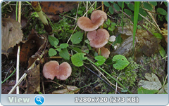 0_1122c0_852b08be_orig.png