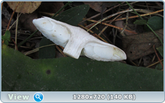 0_1133f4_9cb575a7_orig.png